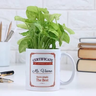 Buy Personalized Syngonium plant in mug online in Jaipur for custom gifting